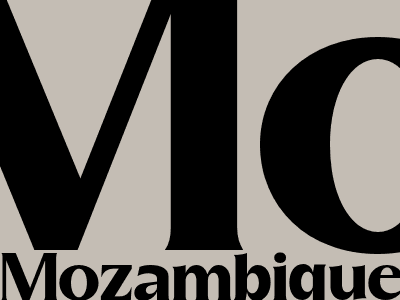 Mozambique Sadc Must Take Strong Stand Against Spiralling Police Killings And Assault On Peaceful Assembly