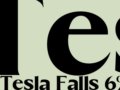 Tesla Falls 6 As Hedge Funds Carry Out Trump Trade Rebalancing Gary Black Says President Elect Could Help Secure Robotaxi Approvals